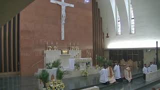 Fr. John Hickey's first Mass