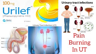 Urilef 100Mg Uses In Urdu Phenazopyridine Uses In Urdu