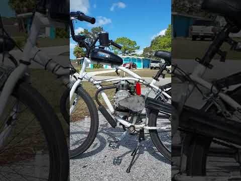 BikeBerry 49cc 4