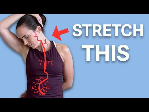 Video: Stimuleren strekken de nervus vagus?