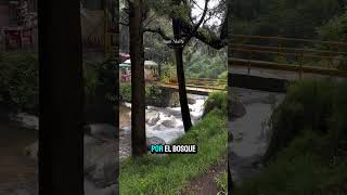 Los dinamos en CDMX un lugar increíble dentro la CDMX