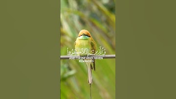 سورة الفرقان ، بصوت القارئ محمد اللحيدان 💙
