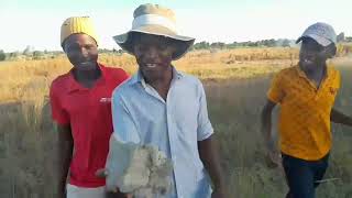 Mamonya Eipapo............zim Comedy 2024