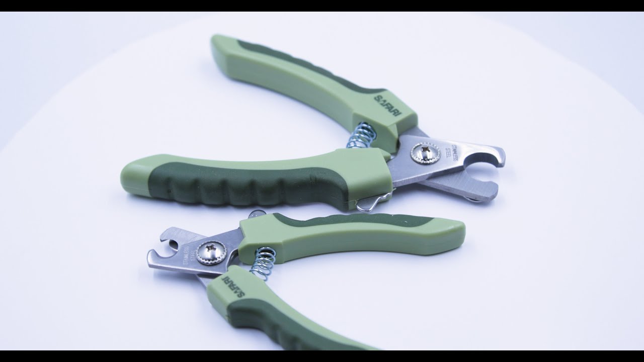 Safari coupe griffe professionnel pour chien