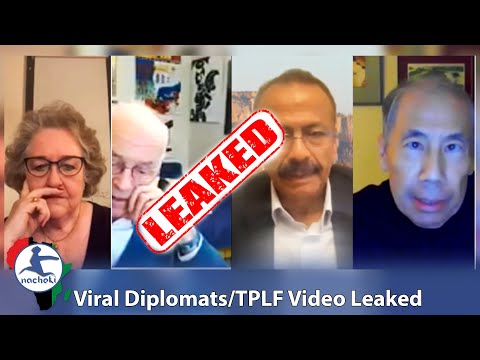 Viral Leaked Video Shows US, UK, EU & UN Diplomats Plotting with Members of  TPLF Terrorist Group