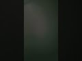@carameloanimations
