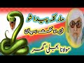مولانا بجلی غر دم مار نیلو پشتو بانیان توسط 