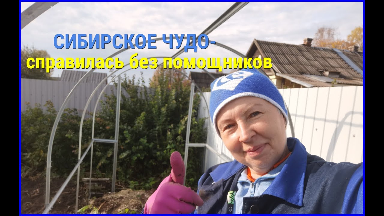 Сибирская Чудо Теплица Купить