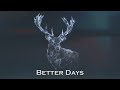 Afro instrumental 2023  better days afro  shadow