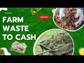 7 ایده تجاری سودآور با استفاده از ضایعات کشاورزی 