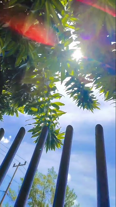 VIDEOIN PANASNYA CUACA SIANG HARI | HALU STORY #shorts  #storyhalu #storyig #storywa