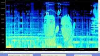 Neurocoders - Spectral Codes