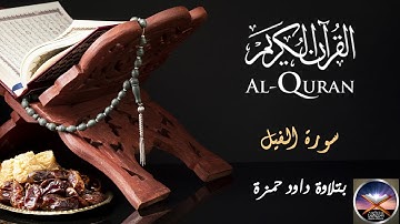 سورة الفيل بتلاوة داود حمزة