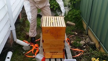 Homemade beehive - week 3 inspection and adding a new brood box