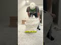 Pidieron Un Sofá Y Llegó Así… 😳❄️