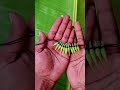 Tying flower buds with string #decoration #diy #flowers #flowerart