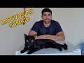 Dias de luta 🤦🏻‍♂️ |  Júlio e Eu 😼🧔🏻