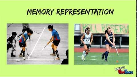 Motor Control: Transfer of Learning