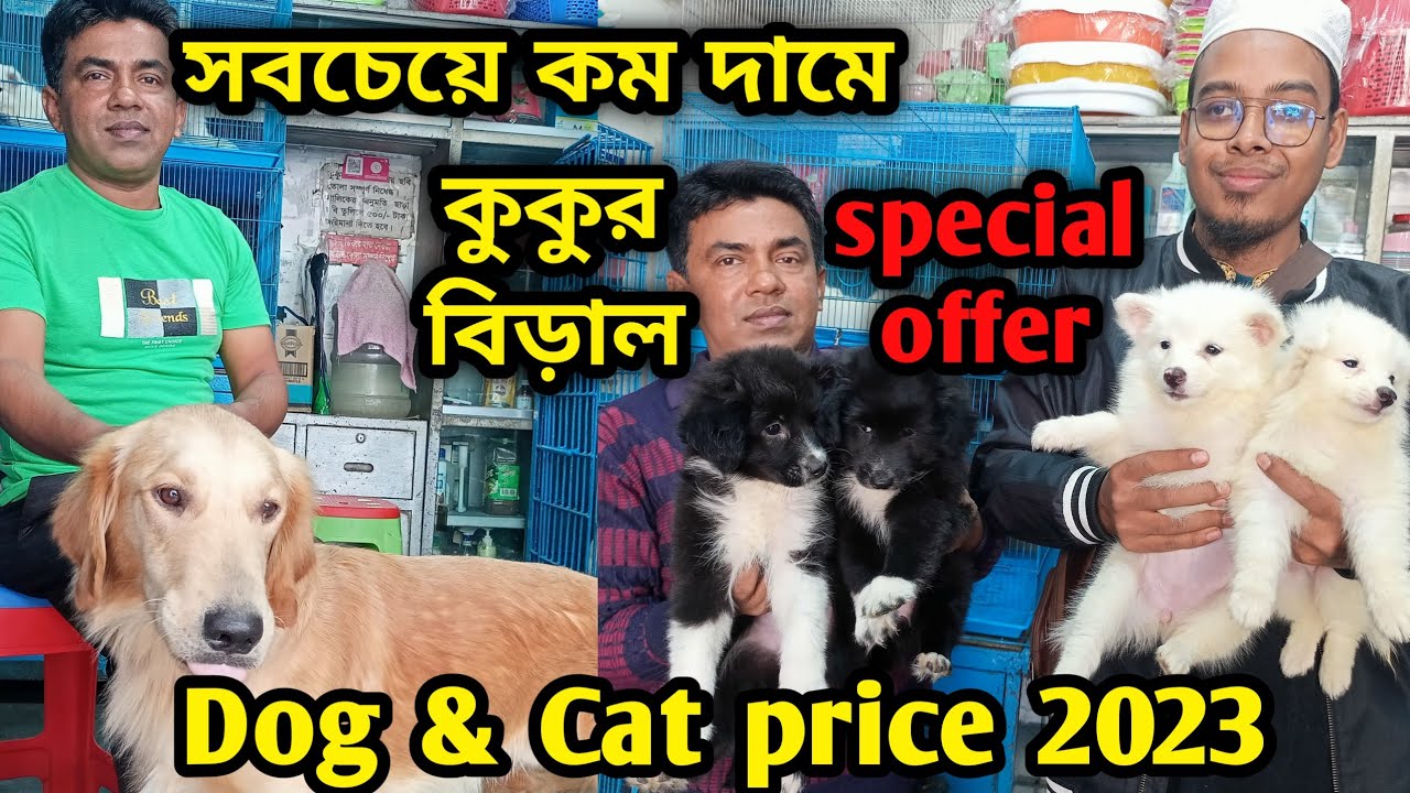 Katabon animal market in bangladeshGerman Shepherd Lhasa Apso