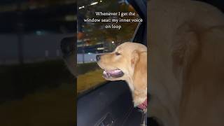 🐶#dog #viral #trending #foryou #fyp