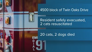 20 cats, two dogs killed in Killeen house fire