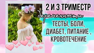 Моя беременность: 2 и 3 ТРИМЕСТР / беременность после 30 / роды в Турции