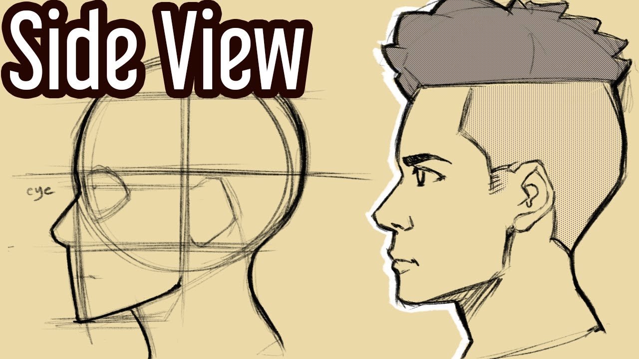 How to draw the female face side profile tutorial by Learningasidraw on  DeviantArt