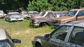 Car Lot of Old Cars Sitting to be Restored or Just  Wasting Away on Earth in NC