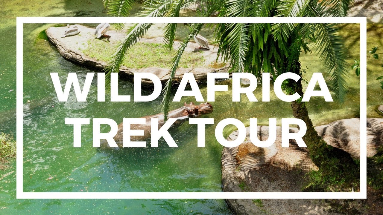 starlight safari vs wild africa trek