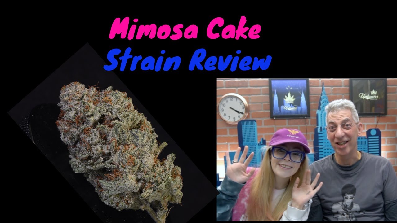 Mimosa Cake Strain Review with MissMidas420x
