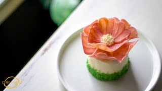 White Chocolate Flowers and Raspberry Mini Cakes | Flight of the Bumblebee Part.1