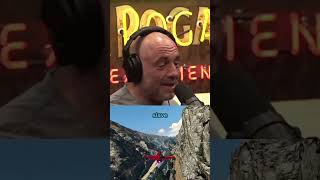 Why importing from China is bad Wealth