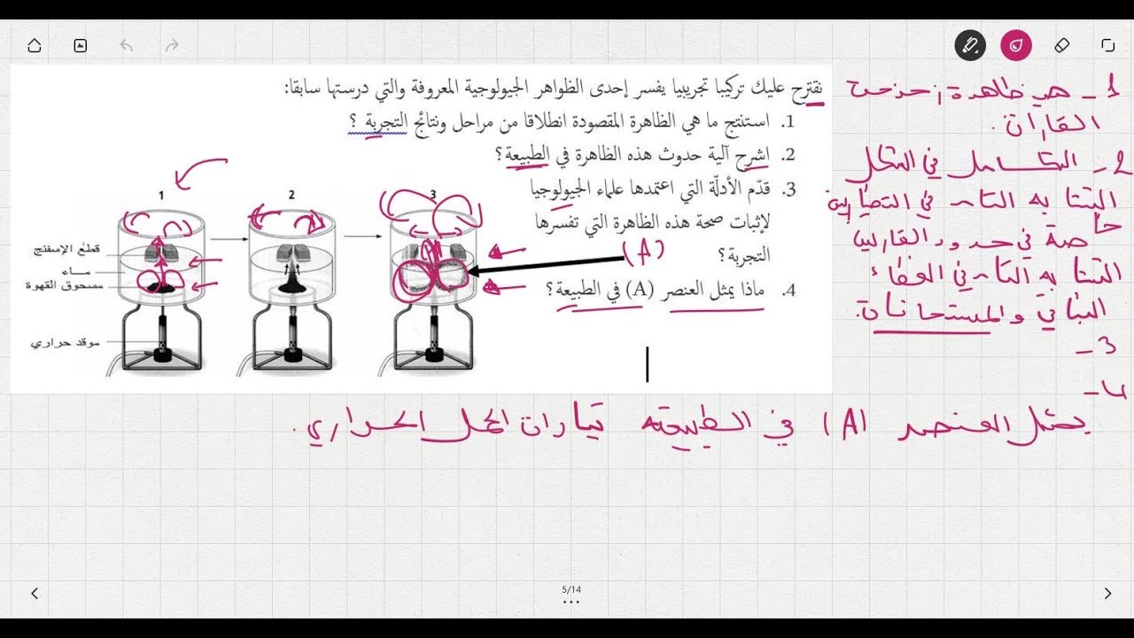 علوم طبيعية السنة الثالثة متوسط تمرين حول تيارات الحمل الحراري
