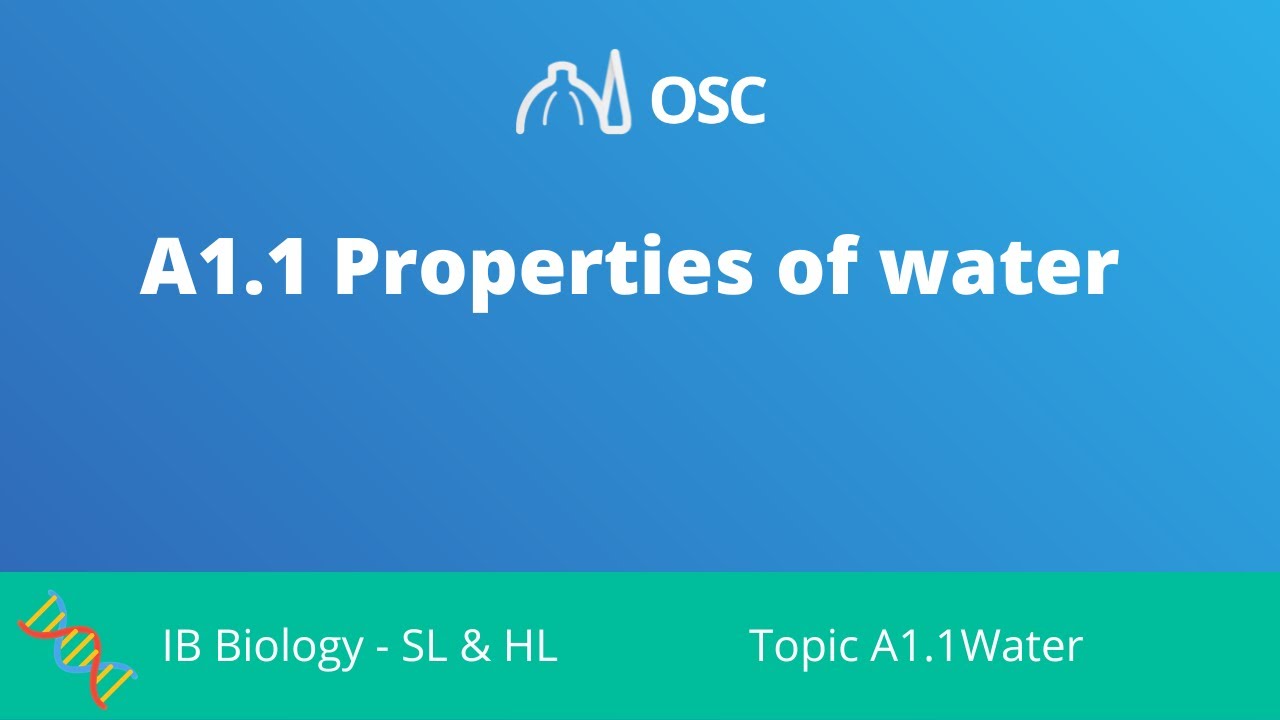 ⁣A1.1 Properties of Water [IB Biology SL/HL]