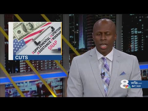 SNAP Benefit Cuts Hit Florida What Feeding Tampa Bay Wants You to Know