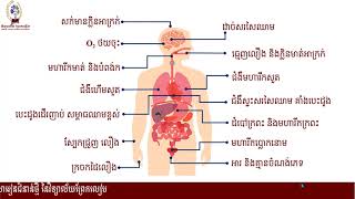 # ជីវវិទ្យាថ្នាក់ទី៧ #ជំពូក៥ អាល់កុល និងថ្នាំជក់#មេរៀនទី២ ថ្នាំជក់ និងបារី (ត)