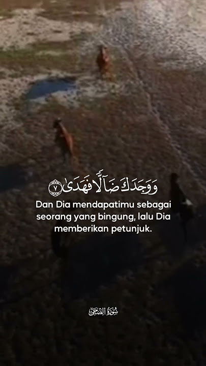 Surah Ad Dhuha - Al Quran Relaxing #alquran #quran #islamicprayer #surah #recitation #relaxing