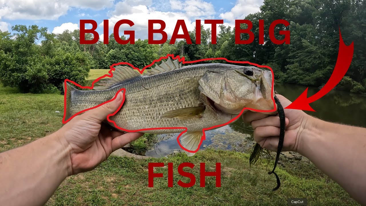 DO BIG BAITS CATCH BIG FISH! (BIG BASS)