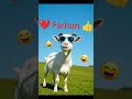 Farhan Name Video Calling Goat Video Watch Like Namevideo Viralvideo Farhan 