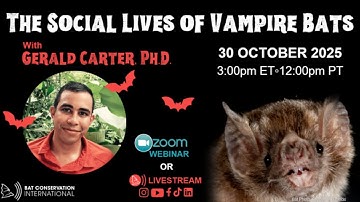 The Social Lives of Vampire Bats