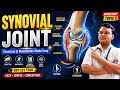 Synovial Joint Anatomy 