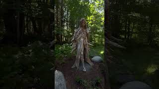 #vancoverisland #nature #campbellriver #drifwoodart #wisdomtree