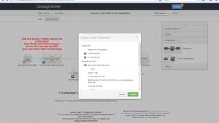 Infusionsoft's Live Implementation Video for "Free Newsletter" Campaign screenshot 4