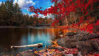 Gratitude: The Essential State