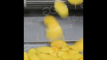 Dried Mango Manufacturing Machine Factory | Efficient Drying Solution