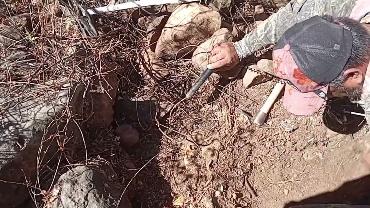 Las varas se lucieron 