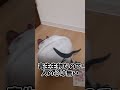 マコモ湯以上に体がおかしくなる話題の寄生生物#ホロオタ