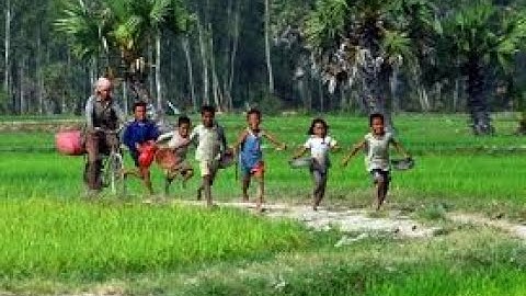 Bài Thơ Tiếng Việt Lưu Quang Vũ