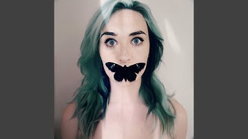 Moth