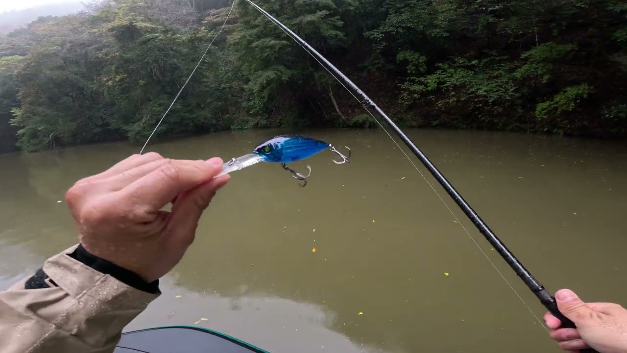 Bass Fishing Live Streaming Highlight in Japanese River Japan lake Shimano Metanium DC megabass OSP